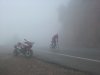 fog600.jpg