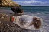 20150408120935-mujer-en-la-botella-hdr-web.jpg
