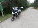 IMG_20210508_172636.jpg