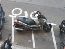 IMG-20210519-WA0023.jpg