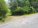 IMG_20210603_133701.jpg