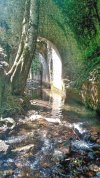 IMG_20210613_162452-01.jpeg