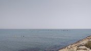 IMG-20210614-WA0017.jpeg