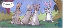 lapins.jpg