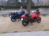 IMG_20160127_170951.jpg