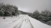 DSC_2911.jpg