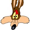 imagesQJJHVMCW.jpg