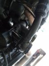 IMG_20210704_115532.jpg