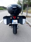 IMG_1319.jpeg