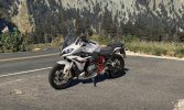 R1250RS_1.jpg