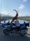 F1CBDEBD-D368-45EA-836A-2D2FC9E478E4.jpeg