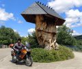ARBOLPARAMO.jpg