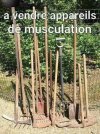 musculation.jpg