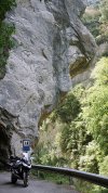 DSC01408-low.jpg