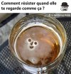 bierre.jpg