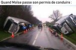 moïse.jpg