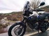 IMG_20160213_092200.jpg