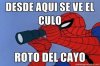 spiderman.jpg