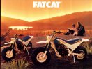 honda-tr200-fat-cat-03.jpg