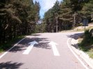 coll-de-gallina.jpeg