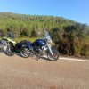 IMG_20210926_092950.jpg