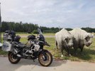 IMG_20210804_102806.jpg