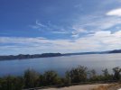 IMG_20210807_104729.jpg