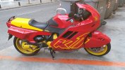 IMG_20211010_143003.jpg