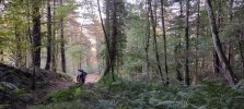 IMG_20211019_173933.jpg