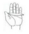 1635237131130.png