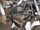 IMG_0579[1].JPG