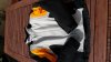 20160226_123232.jpg