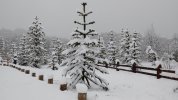 IMG_20190930_171343651.jpg