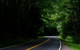 Asphalt_Road_Bamboo_Forest_2019_HD_Photography_3840x2400.jpg