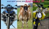 CollageMaker_20211229_101820108.jpg