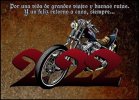 WhatsApp Image 2021-12-31 at 21.58.56.jpeg