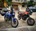 IMG_20211017_103748_857.jpg