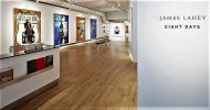 Lahey_Installation-1030x544 (2).jpg