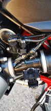 IMG_20220116_151818.jpg