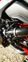 IMG_20220116_154230.jpg