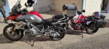 IMG_20220117_110002.jpg