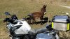 20160302_130558 2.jpg