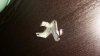 20160306_073335.jpg