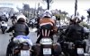 10400881_343123939144788_343410888908365451_n.jpg