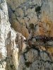 IMG-20160305-WA0060.jpg