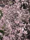 IMG_20220206_121817.jpg