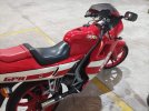 IMG_20220209_172849.jpg