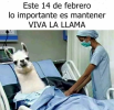 1644861451824.png