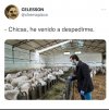 1645866345684.jpeg