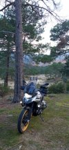 IMG_20211121_162631.jpg